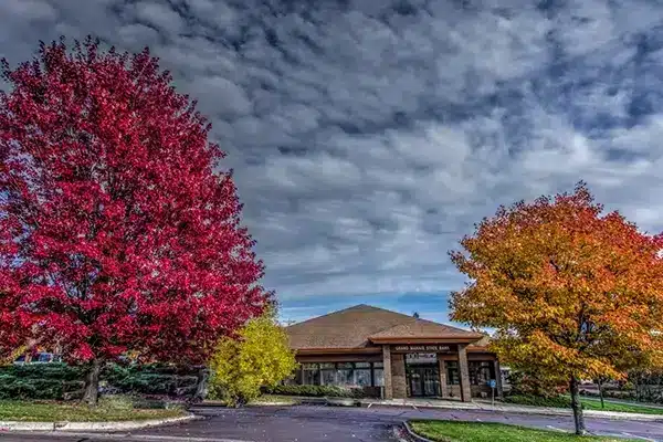 Exterior building of grand marais state bank with red and orange fall trees flanking the entrance